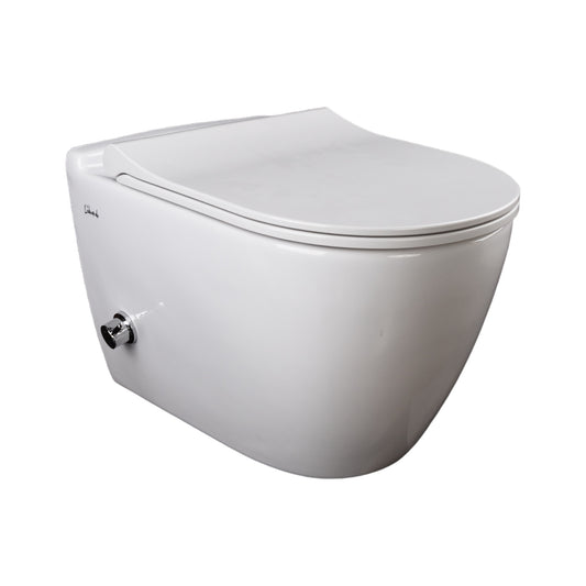 Wand Dusch WC Taharet Bidet-Funkt Taharat randlos Warmwasser Anschluss