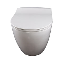 Wand Dusch WC Taharet Bidet-Funkt Taharat randlos Warmwasser Anschluss