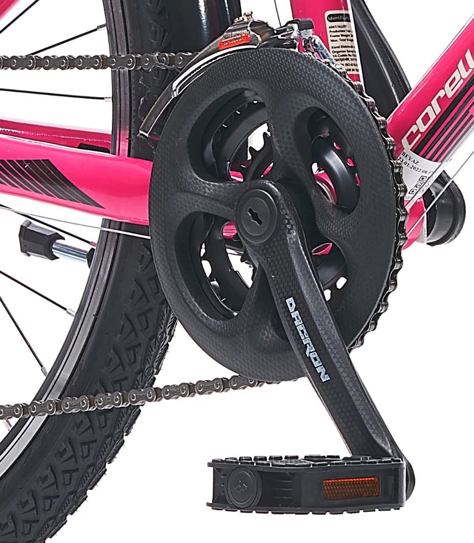24 zoll fahrrad stvo 24 Zoll Alu Fahrrad Cityrad 24 Mädchen Fahrrad Rad 21G Rh 38 cm STVO – NestWay