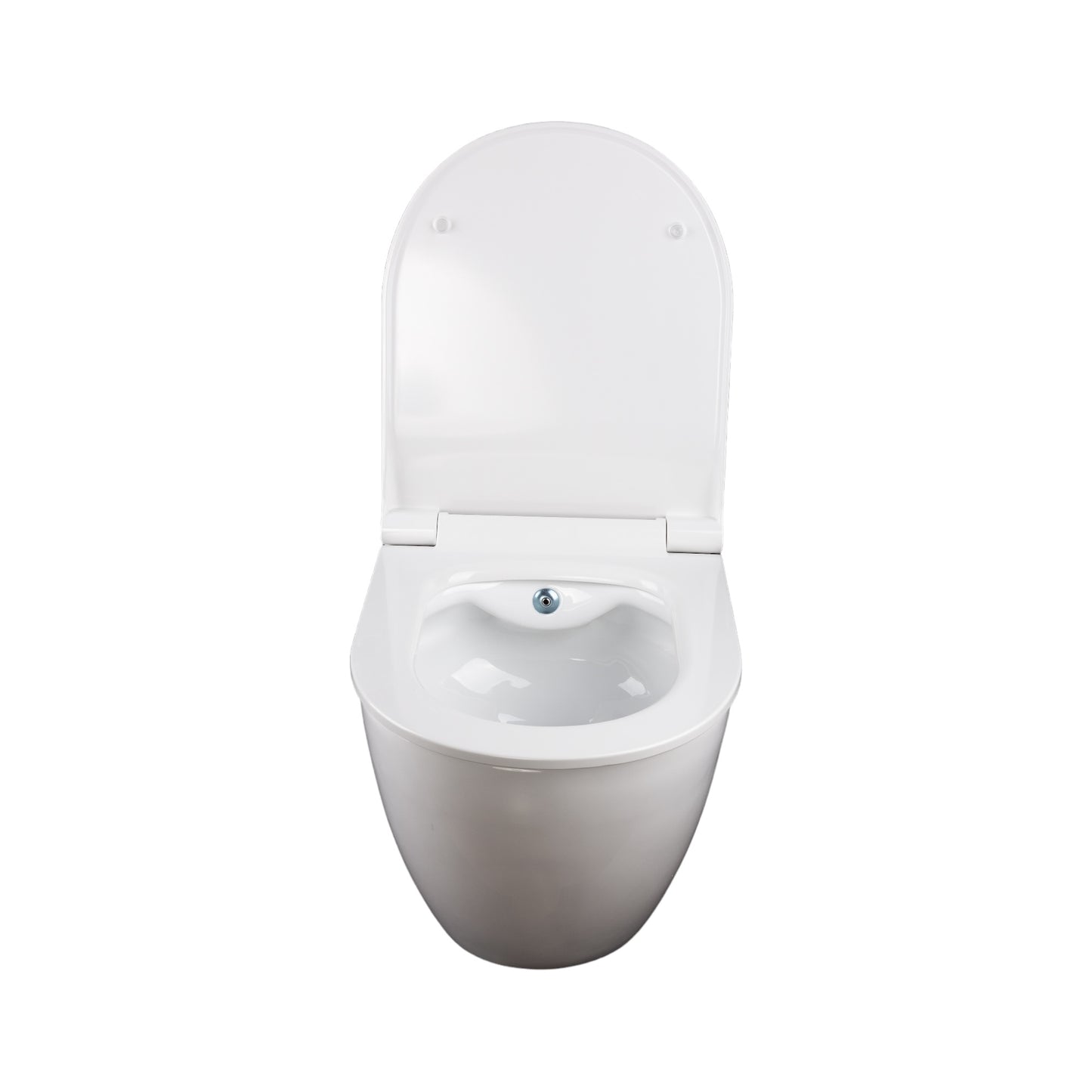 Wand Dusch WC Taharet Bidet-Funkt Taharat randlos Warmwasser Anschluss