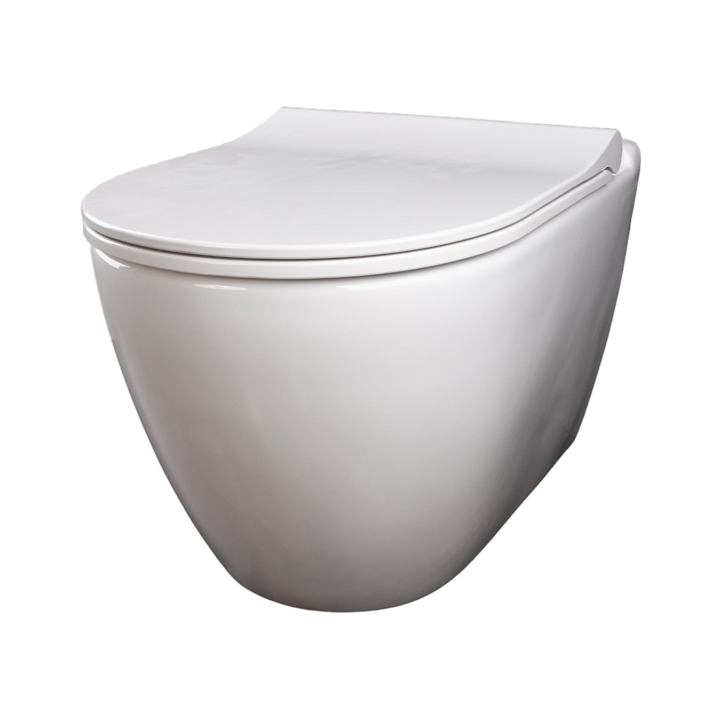 Wand Dusch WC Taharet Bidet-Funkt Taharat randlos Warmwasser Anschluss